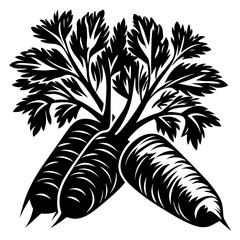 Obraz premium Three Black and White Carrots with Intricate Leafy Green Tops