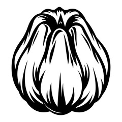 Monochrome illustration of a whole garlic bulb with distinct cloves outline