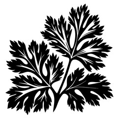 Elegant black silhouette of parsley plant foliage on a white background illustration