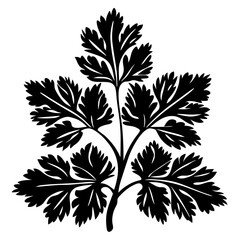 Stylized Cilantro or Parsley Illustration in Black and White Graphic Design