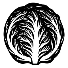 Graphic monochrome illustration of a cut cabbage head showing leaf patterns