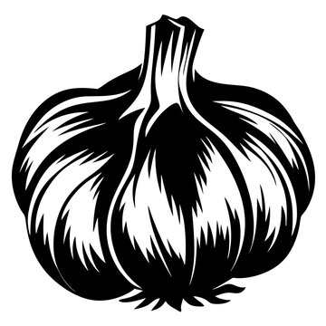 recommend clip art: Monochrome Illustration of Garlic Bulb with Detailed Clove Separations and Stalk