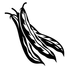 Black and white illustration of three green bean pods on a white background