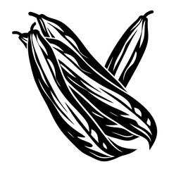 Monochrome illustration of zucchinis as a food or vegetable for design