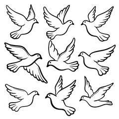 set of birds