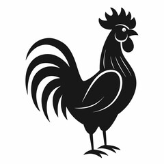 rooster isolated on white