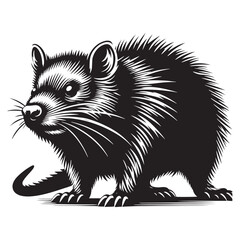 Scurry of the Outback: A Unique Collection of Bandicoot Vector Silhouettes Celebrating the Quirky Charm, Swift Movements, and Distinctive Shape of This Elusive Marsupial Species