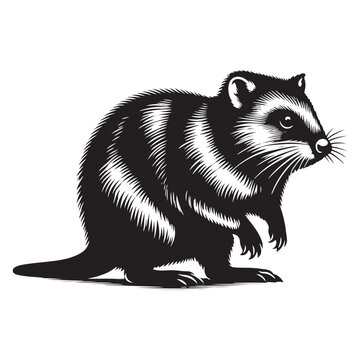 black and white raccoon standing clip art preview