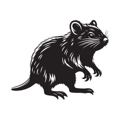 Scurry of the Outback: A Unique Collection of Bandicoot Vector Silhouettes Celebrating the Quirky Charm, Swift Movements, and Distinctive Shape of This Elusive Marsupial Species