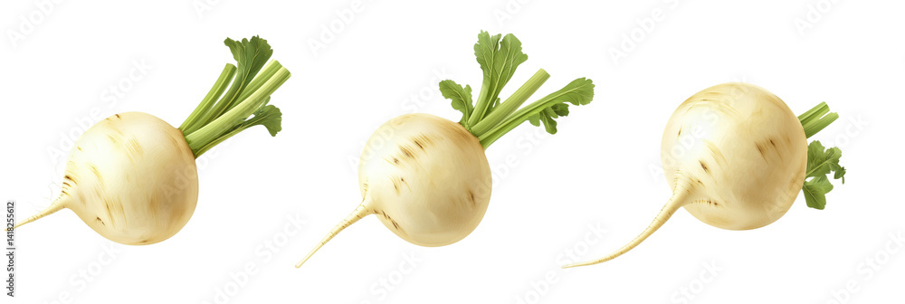 Poster white turnips with green tops displayed in three orientations showcasing their round shape and leafy