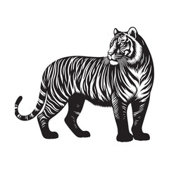Stripes of Power: A Striking Collection of Bengal Tiger Vector Silhouettes Showcasing the Majesty, Strength, and Endangered Beauty of This Iconic Big Cat of India