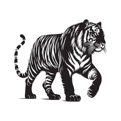 Stripes of Power: A Striking Collection of Bengal Tiger Vector Silhouettes Showcasing the Majesty, Strength, and Endangered Beauty of This Iconic Big Cat of India