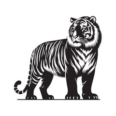 Stripes of Power: A Striking Collection of Bengal Tiger Vector Silhouettes Showcasing the Majesty, Strength, and Endangered Beauty of This Iconic Big Cat of India