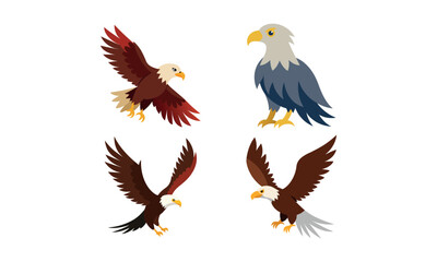 Bald eagle flying set draw and paint on white background vector illustration.
