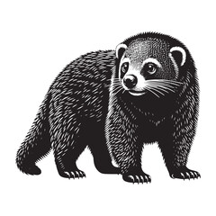 Whiskers of the Canopy: A Captivating Collection of Binturong Vector Silhouettes Showcasing the Mysterious Charm, Arboreal Grace, and Unique Form of the Elusive Bearcat