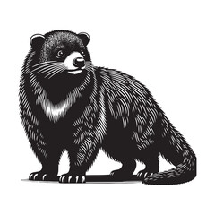 Whiskers of the Canopy: A Captivating Collection of Binturong Vector Silhouettes Showcasing the Mysterious Charm, Arboreal Grace, and Unique Form of the Elusive Bearcat