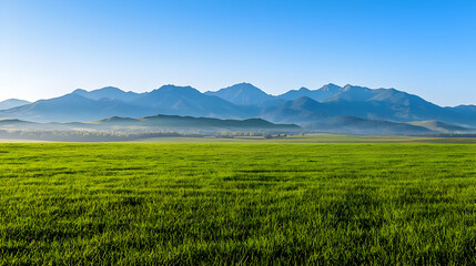 Obraz premium Green Field With Mountains Under Clear Blue Sky