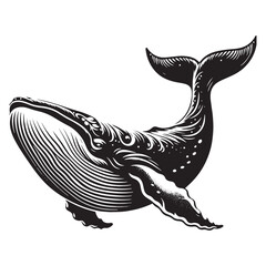 Giants of the Deep: A Majestic Collection of Blue Whale Vector Silhouettes Showcasing the Immense Grace, Power, and Oceanic Presence of Earth’s Largest Living Creature