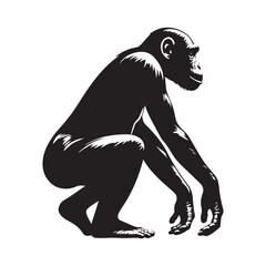 Peaceful Shadows: A Thoughtful Collection of Bonobo Vector Silhouettes Highlighting the Gentle Nature, Social Intelligence, and Distinctive Form of Humanity’s Closest Primate Relative in the Wild