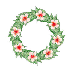 illustration of a wreath of plumeria flowers with leaves isolated on a white background.