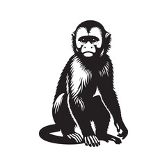 Jungle Acrobats: A Playful Collection of Capuchin Monkey Vector Silhouettes Showcasing the Agility, Curiosity, and Expressive Nature of These Intelligent and Energetic New World Primates