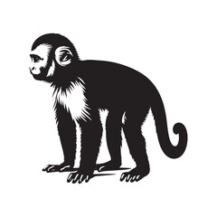 Jungle Acrobats: A Playful Collection of Capuchin Monkey Vector Silhouettes Showcasing the Agility, Curiosity, and Expressive Nature of These Intelligent and Energetic New World Primates