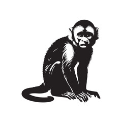 Jungle Acrobats: A Playful Collection of Capuchin Monkey Vector Silhouettes Showcasing the Agility, Curiosity, and Expressive Nature of These Intelligent and Energetic New World Primates
