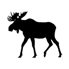 Moose silhouette - vector illustration