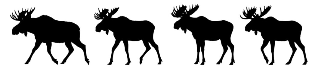 Set of moose silhouette - vector illustration