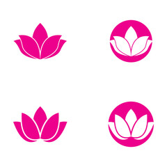beautiful flower lotus logo and vector template