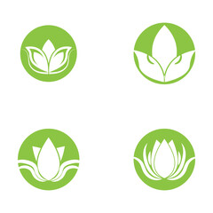 beautiful flower lotus logo and vector template