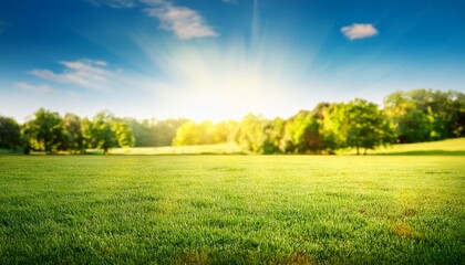 Blurred Nature Landscape of Sunny Summer Day