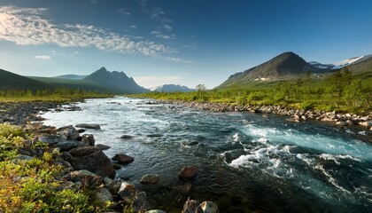 River at arctic circle during summer