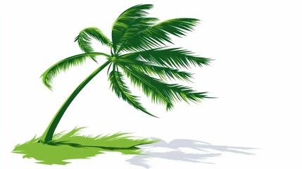 Fototapeta premium Illustration of a swaying green palm tree in a minimalist style.