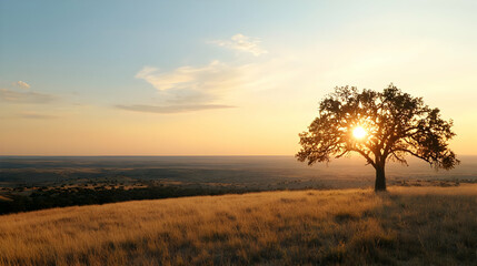 Solitary Tree Silhouette At Golden Sunset Over Field