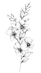 Hand-drawn vector floral illustration featuring a sketched rose blossom