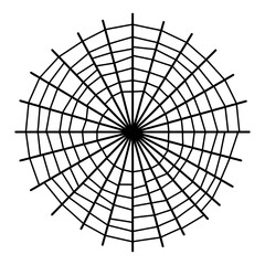 Obraz premium Spider web icon. Black outline spider web icon isolated on white background.
