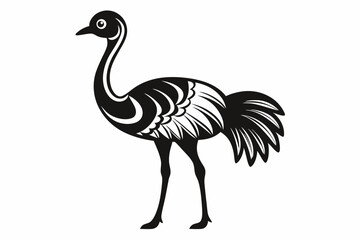 Fototapeta premium vector illustration of a ostrich