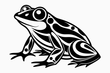 frog isolated on white