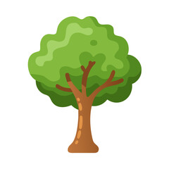 Tree: The Natural Giant and Oxygen Provider