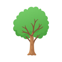 Tree: The Natural Giant and Oxygen Provider