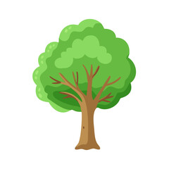 Tree: The Natural Giant and Oxygen Provider