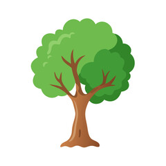 Tree: The Natural Giant and Oxygen Provider