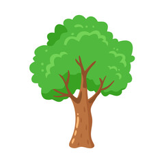 Tree: The Natural Giant and Oxygen Provider