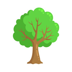 Tree: The Natural Giant and Oxygen Provider
