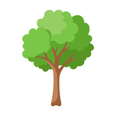 Tree: The Natural Giant and Oxygen Provider