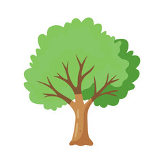 Tree: The Natural Giant and Oxygen Provider