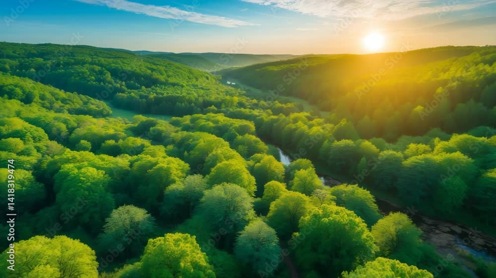 Poster lush forest and nature captured from above with trees in view