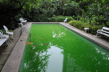 Swimming pool in a garden
