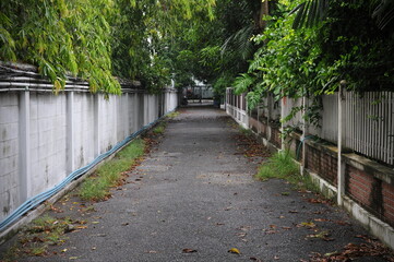 Long narrow inner city back street